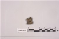 藏品(玄黃緣齒梅衣)的圖片